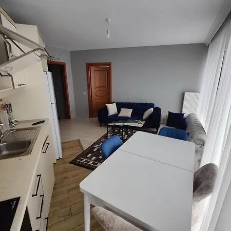 Lägenhet Sisli, Istanbul, One Room, Full Services